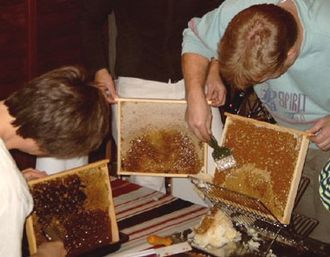 Beeswax: Nature’s Wonder